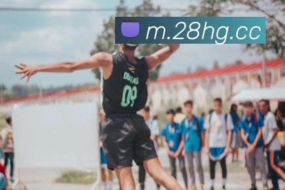 奖项证书